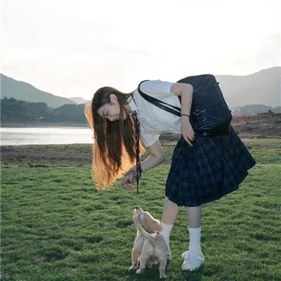 海豚之眼